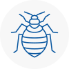 Bed Bug Extermination In Epsom