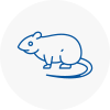 Rat Control Epsom